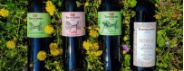 Vino Biancho Vendita Online - Vini Biologici Oltrepò Pavese , Pavia, Lombardia