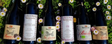 Red Wines Online Sale - Organic Wines Oltrepò Pavese, Pavia, Lombardy, Italy