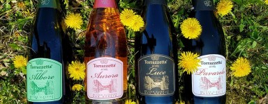 Sparkling Wines Online Store - Organic Wines Oltrepò Pavese, Pavia, Lombardy, Italy